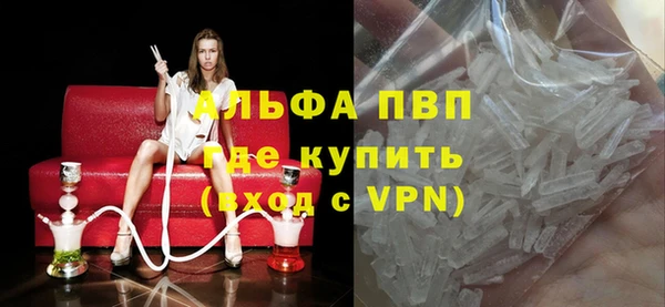 стафф Алексин