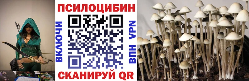 гидра ССЫЛКА  как найти   Венёв  Галлюциногенные грибы мицелий 